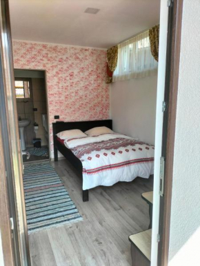 Vila Noris Borşa